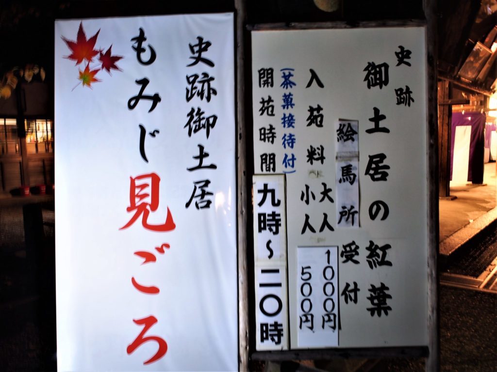 もみじ苑のライトアップ