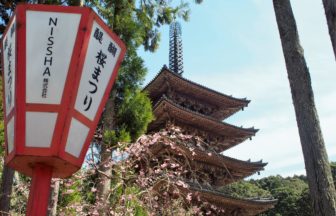 醍醐寺の桜まつり