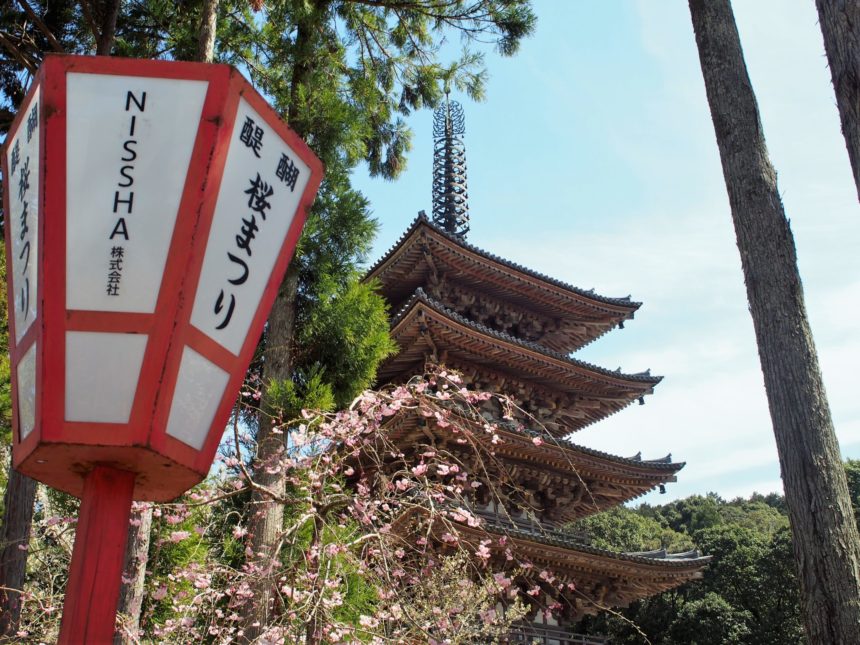 醍醐寺の桜まつり