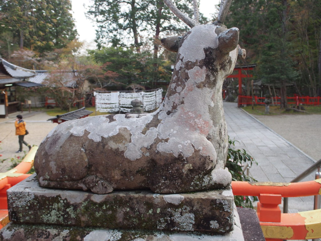 狛鹿さんの後姿