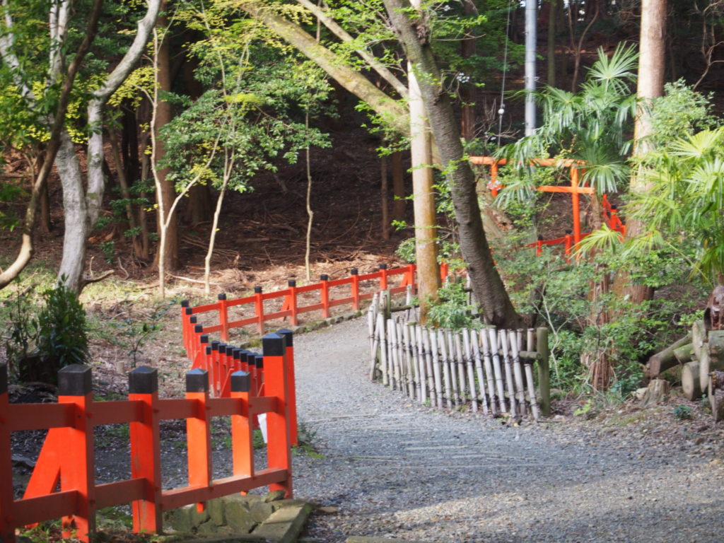 竹林へ続く歩道