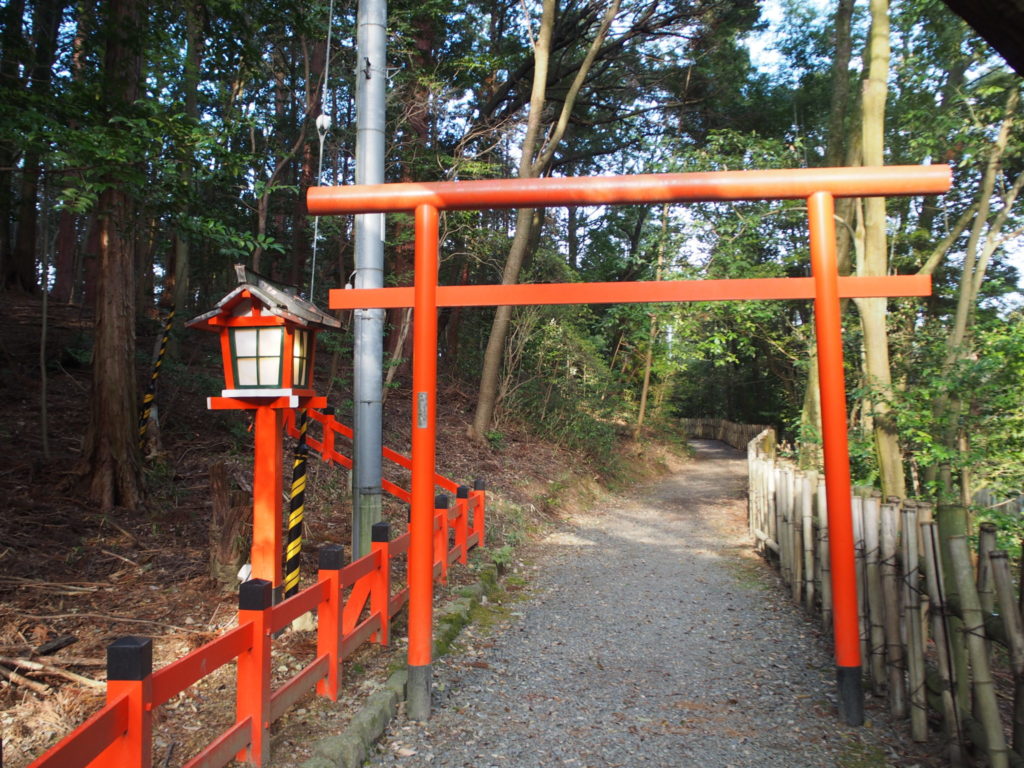 竹林に続く鳥居