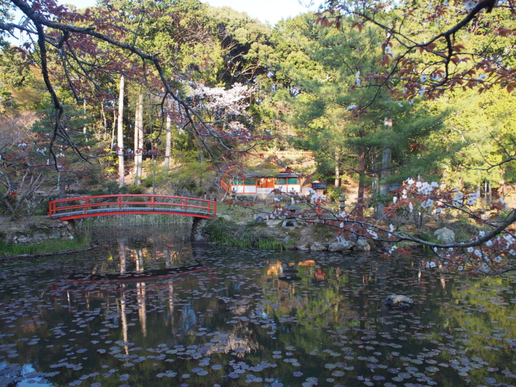 鯉沢の池