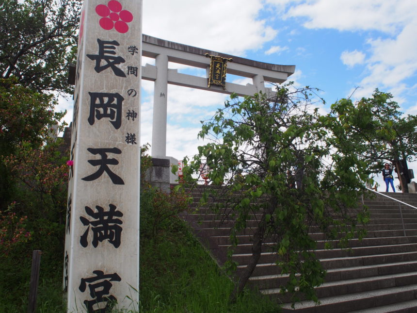 桜や梅やキリシマツツジなど四季の花が美しい長岡天満宮で合格祈願を 京都ご利益 Com