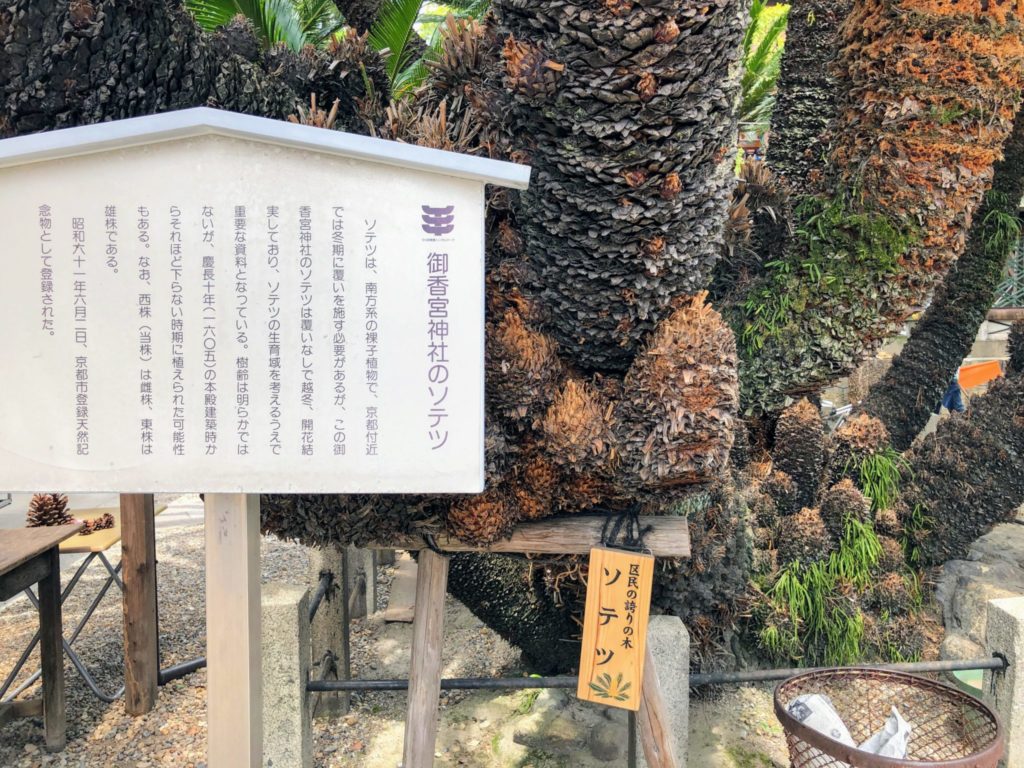 安産と子授けのご利益は御香宮神社で。名水百選「伏見の御香水」も