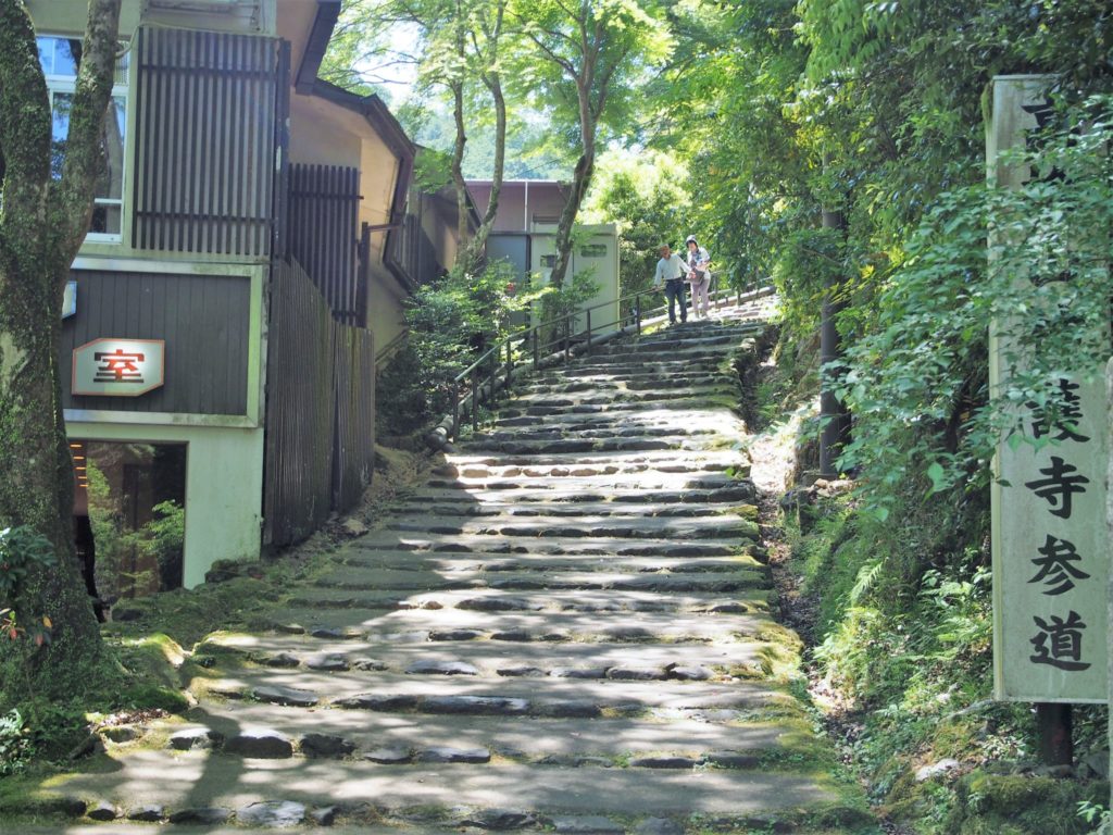 いきなり、やや急な長めの階段を登っていきます
