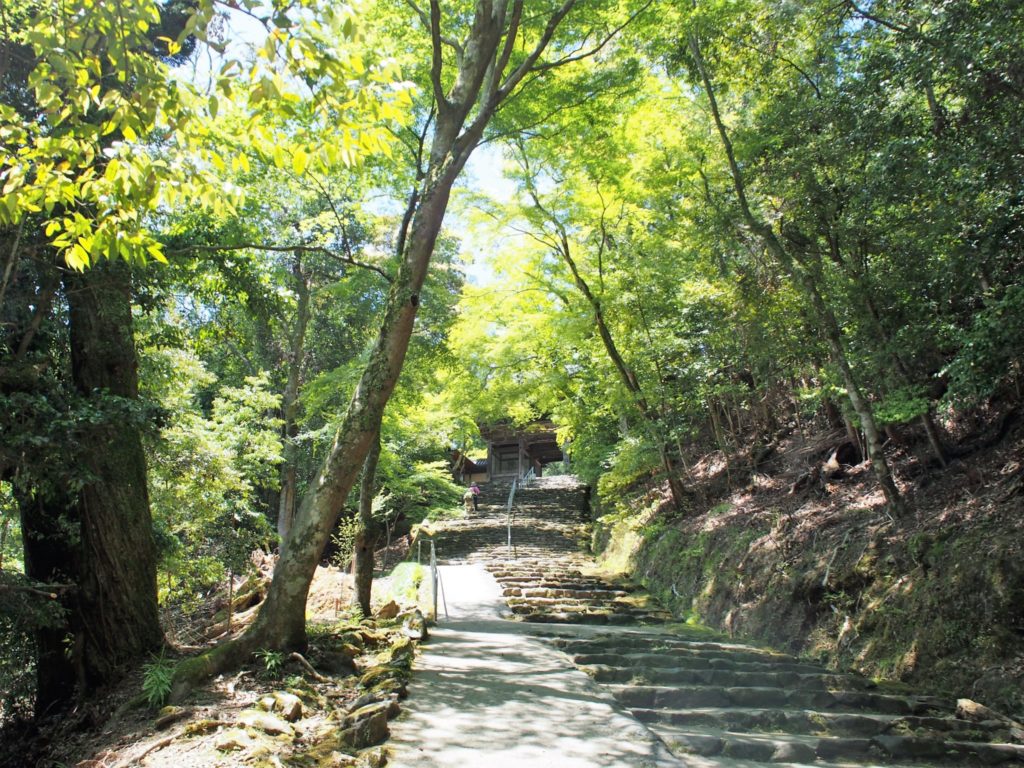 神護寺まであと少し