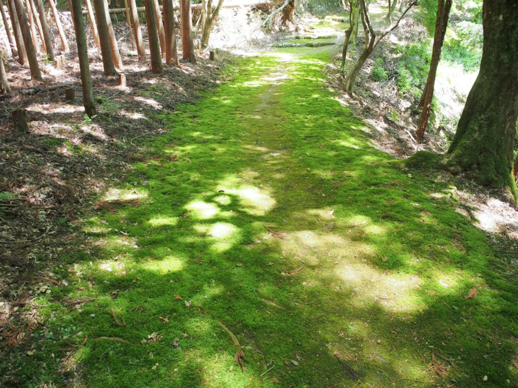 和気清麻呂公のお墓に続く苔の道