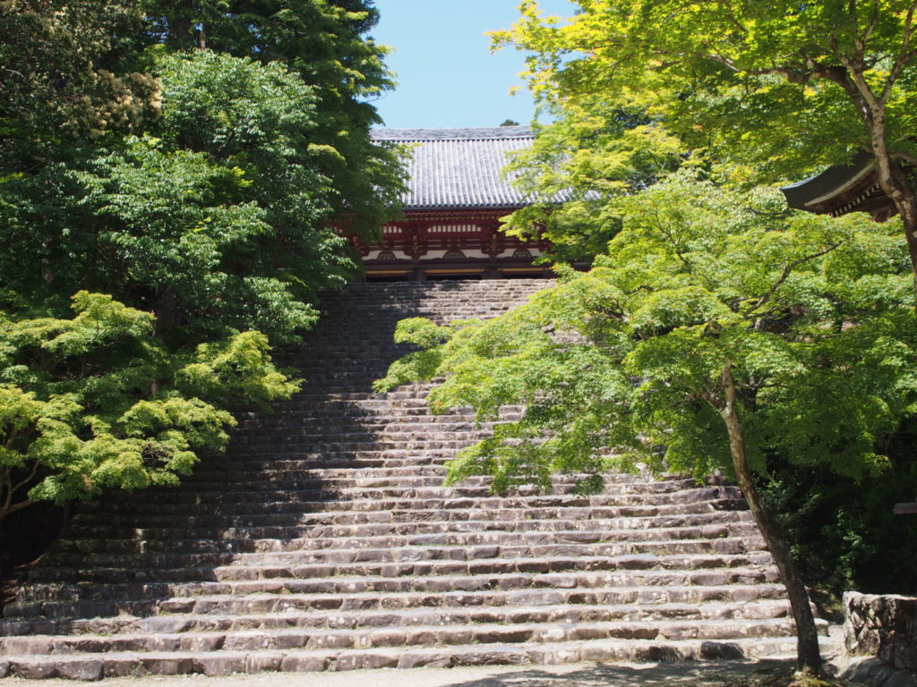 金堂前の階段