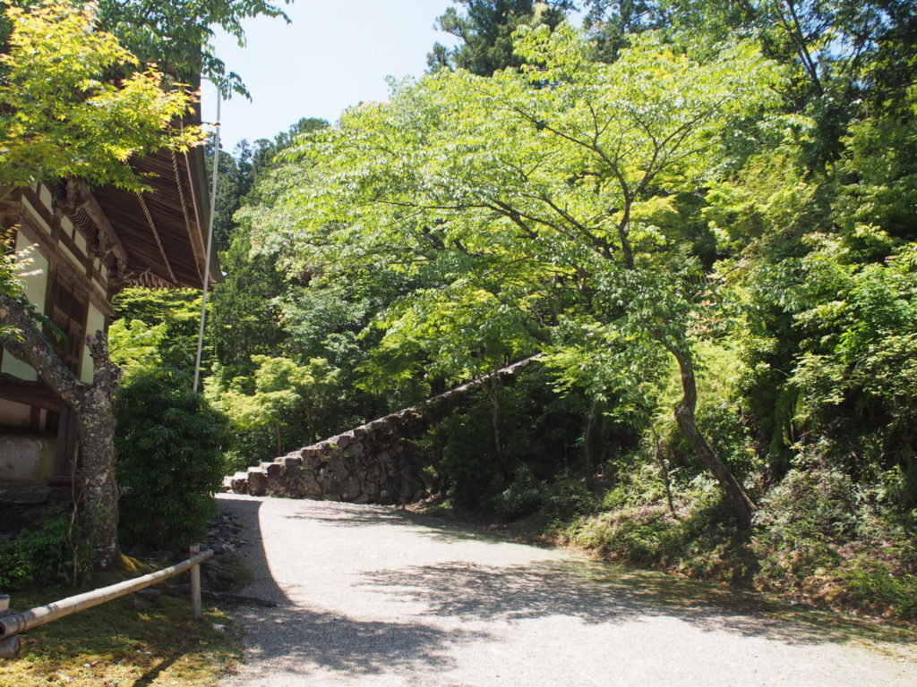 横から見た階段