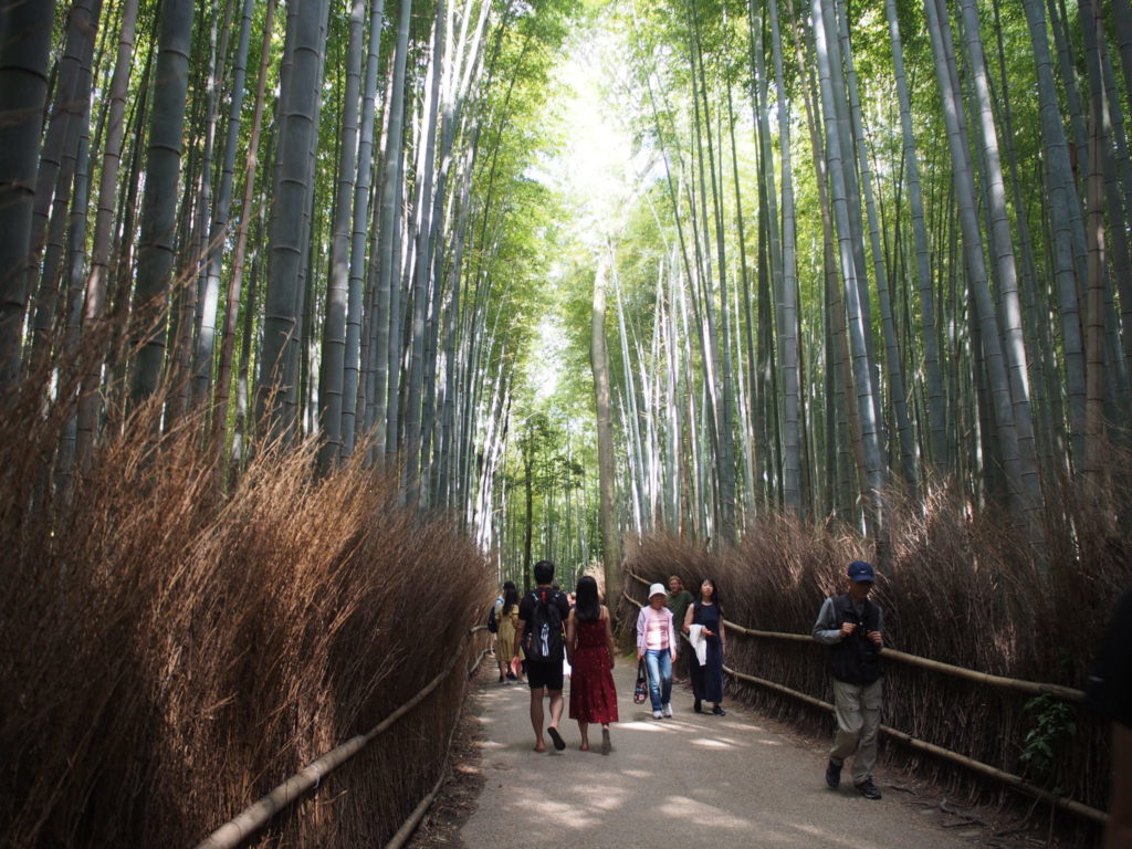 嵯峨の竹林
