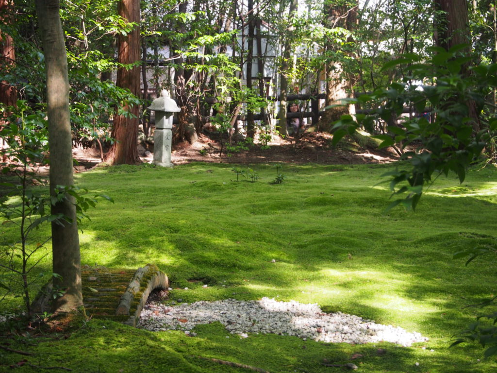 野宮神社の苔庭