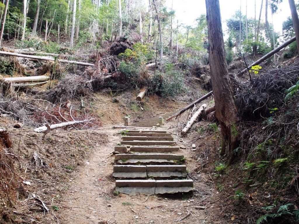 「伊勢神宮遥拝所」へ向かう山道の階段