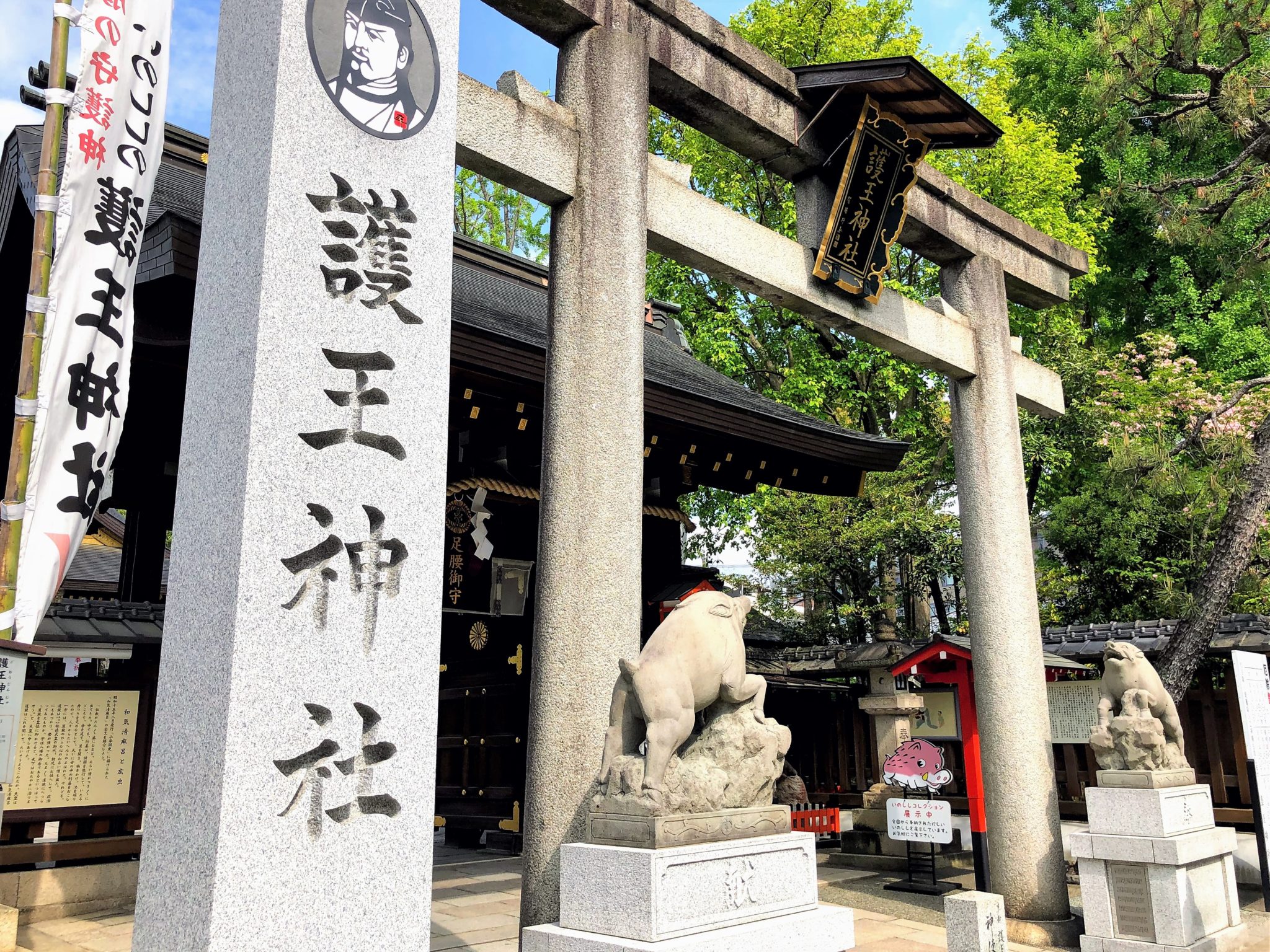 足のケガや腰痛のご利益がある護王神社の境内はイノシシだらけ 足のケガや腰痛のご利益がある護王神社の境内はイノシシだらけ