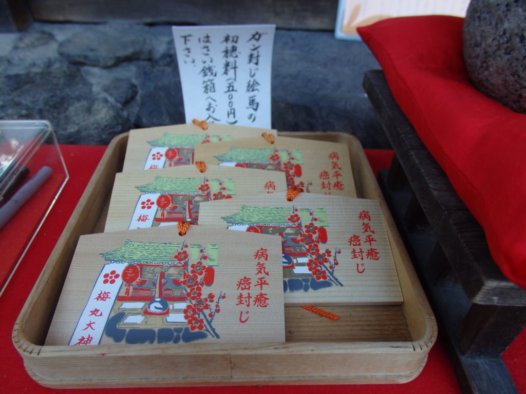 梅丸大神社の癌封じ絵馬