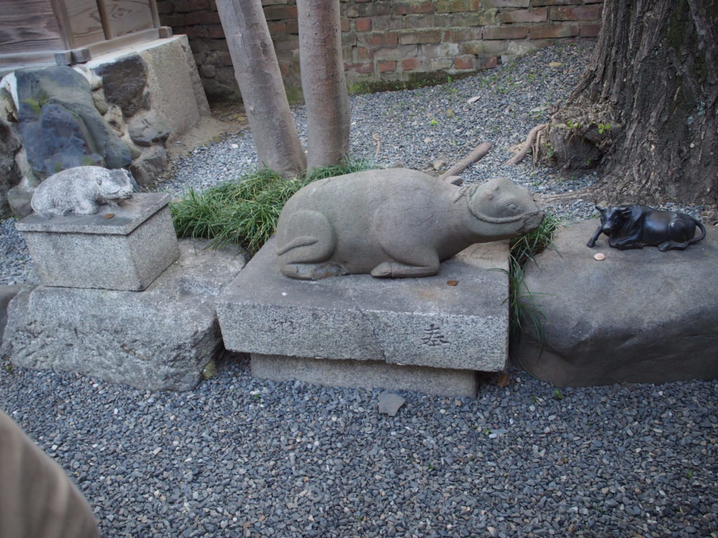 菅原院天満宮神社のご神木の近くの牛たち