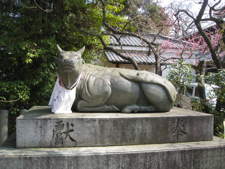 北野天満宮の境内には多くの牛の像がありますがすべて伏せています