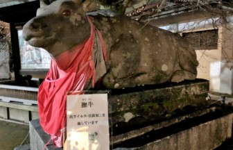 抗ウィルス・抗菌加工された撫で牛