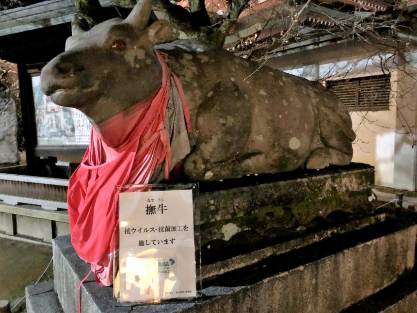 抗ウィルス・抗菌加工された撫で牛